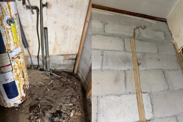 Pictures of subterranean termite damage and mud tubes